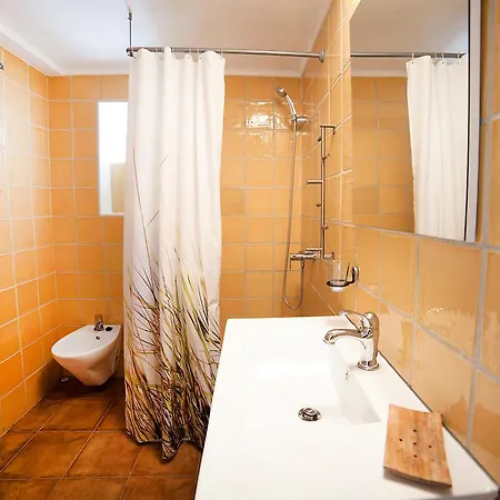 Holiday Benarevo